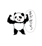 パンダLINEスタンプ（個別スタンプ：5）