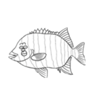 絵に書いた魚（個別スタンプ：13）