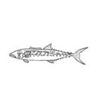 絵に書いた魚（個別スタンプ：14）