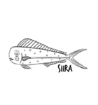 絵に書いた魚（個別スタンプ：27）