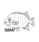 絵に書いた魚（個別スタンプ：29）