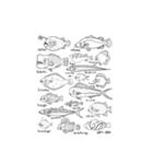 絵に書いた魚（個別スタンプ：35）