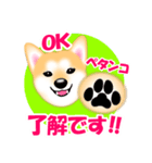 柴犬チャムくんのラインスタンプ（個別スタンプ：7）