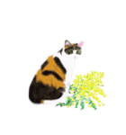三毛猫ミカたんお花シリーズ（個別スタンプ：1）