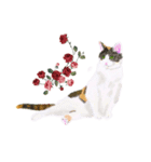 三毛猫ミカたんお花シリーズ（個別スタンプ：4）