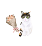 三毛猫ミカたんお花シリーズ（個別スタンプ：6）