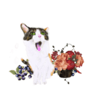 三毛猫ミカたんお花シリーズ（個別スタンプ：8）