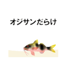 fish in the sea 2（個別スタンプ：6）