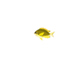 fish in the sea 2（個別スタンプ：10）