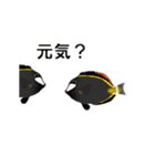 fish in the sea 2（個別スタンプ：13）