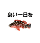 fish in the sea 2（個別スタンプ：17）