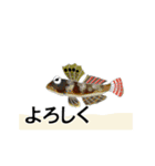 fish in the sea 2（個別スタンプ：21）