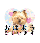 Jina is my best friend.(with Metor)（個別スタンプ：1）