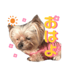 Jina is my best friend.(with Metor)（個別スタンプ：2）