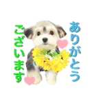 Jina is my best friend.(with Metor)（個別スタンプ：3）
