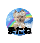 Jina is my best friend.(with Metor)（個別スタンプ：4）