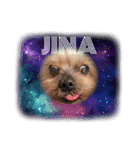 Jina is my best friend.(with Metor)（個別スタンプ：14）