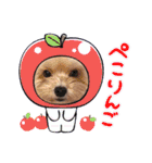 Jina is my best friend.(with Metor)（個別スタンプ：15）