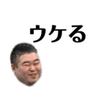 コバショー実写（個別スタンプ：13）