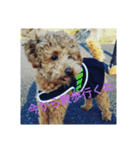 グラパ（個別スタンプ：1）