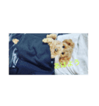 グラパ（個別スタンプ：5）