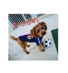 グラパ（個別スタンプ：7）