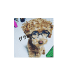 グラパ（個別スタンプ：8）