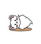 くもクマちゃん（個別スタンプ：13）