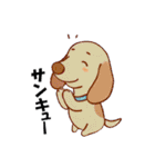 dog lover【161】（個別スタンプ：17）