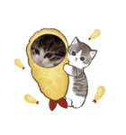 普段使いの保護ねこスタンプ（個別スタンプ：3）