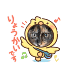 普段使いの保護ねこスタンプ（個別スタンプ：12）
