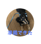 まるのるい（個別スタンプ：5）