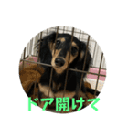 まるのるい（個別スタンプ：9）