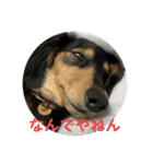 まるのるい（個別スタンプ：14）