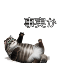 AI猫の可愛くてシュールな台詞スタンプ集04（個別スタンプ：9）