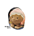 ピンクと時々ブルー。（個別スタンプ：1）