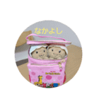 ピンクと時々ブルー。（個別スタンプ：5）