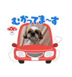 パン君 パート3（個別スタンプ：1）