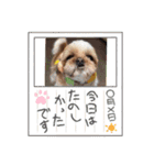 パン君 パート3（個別スタンプ：2）