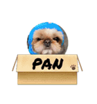 パン君 パート3（個別スタンプ：5）