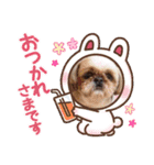 パン君 パート3（個別スタンプ：24）