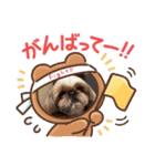 パン君 パート3（個別スタンプ：28）