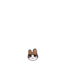 だるい！何もしたくない！うさぎさん（個別スタンプ：37）