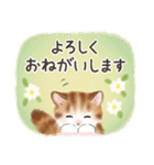 毎日・水彩タッチ☆猫たちのスタンプ（個別スタンプ：6）