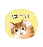 毎日・水彩タッチ☆猫たちのスタンプ（個別スタンプ：20）