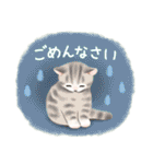 毎日・水彩タッチ☆猫たちのスタンプ（個別スタンプ：31）