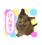 ルルandビビ（個別スタンプ：1）