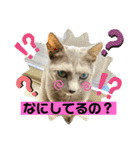 ルルandビビ（個別スタンプ：3）