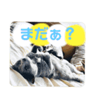 ルルandビビ（個別スタンプ：4）