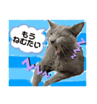 ルルandビビ（個別スタンプ：5）